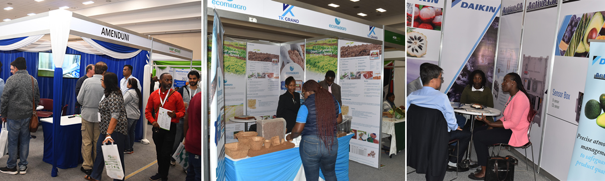 Exhibitors and buyers on the exhibition floor